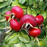 EIE ROSA CANINA GOCCE 30 ML