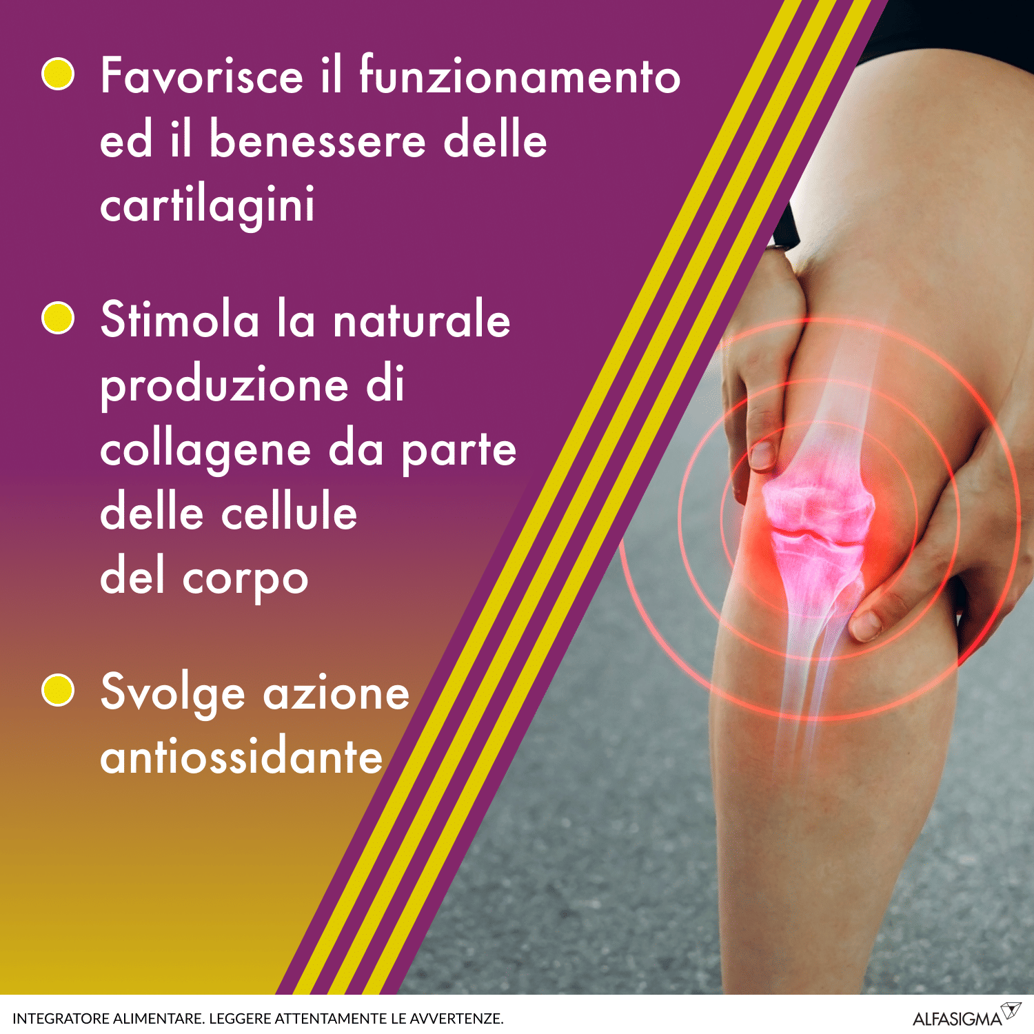 AMEDIAL PLUS 20 BUSTINE 5 G