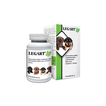 Legart Up 60 Compresse Da 1 G