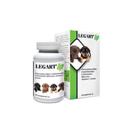 LEGART UP 60 COMPRESSE DA 1 G
