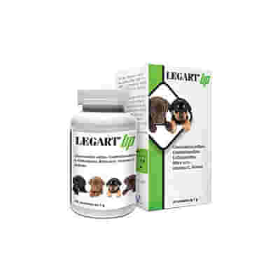 LEGART UP 60 COMPRESSE DA 1 G