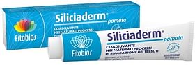 Siliciaderm Pomata 50 Ml