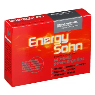 ENERGYSOHN 12 BUSTINE ENERGYSOHN 12 BUSTINE