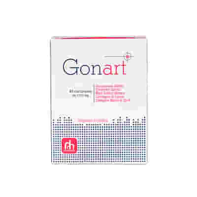 GONART 40 COMPRESSE