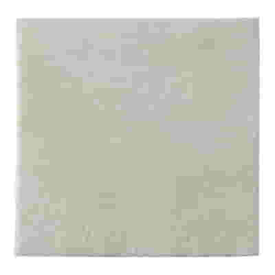 MEDICAZIONE BIATAIN ALGINATE AG ALGINATO CON ARGENTO 10X10CM 10 PEZZI