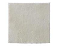 MEDICAZIONE BIATAIN ALGINATE IN ALGINATO E CARBOSSIMETILCELLULOSA 10X10 CM 10 PEZZI