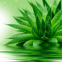 EIE ALOE VERA GOCCE 30 ML