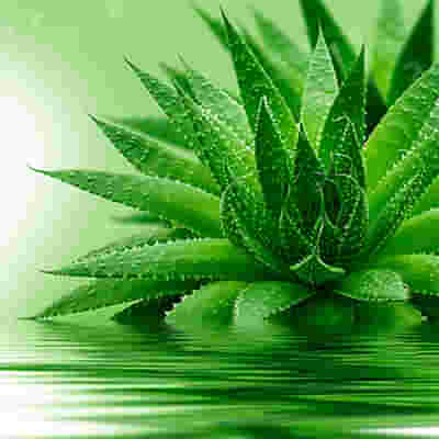 EIE ALOE VERA GOCCE 30 ML