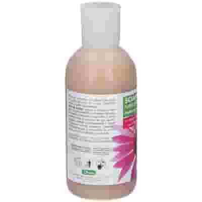 DERBE SHAMPO CREMA DETOX 200 ML