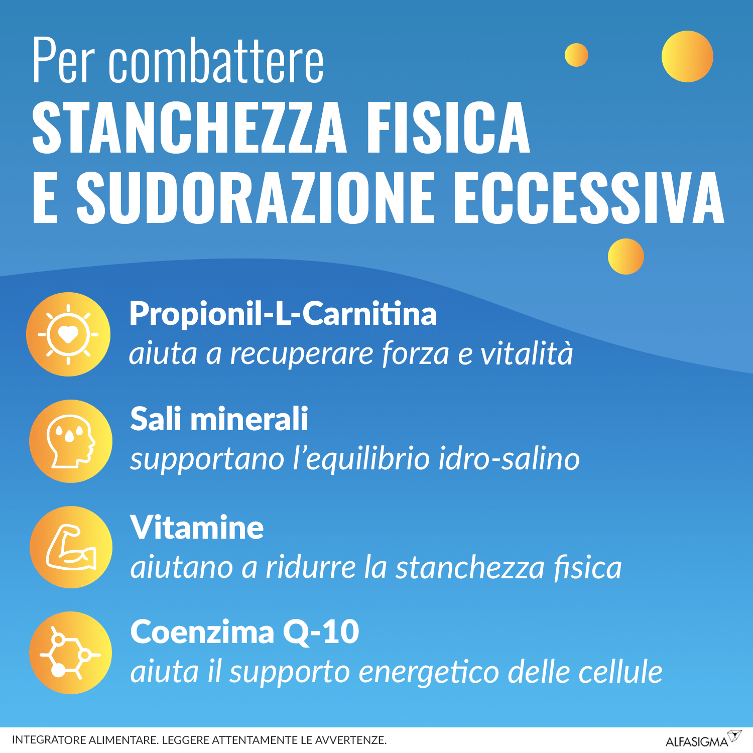 CARNIDYN FAST 20 BUSTINE