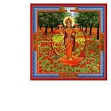 NEESHA-MA GOCCE 30 ML