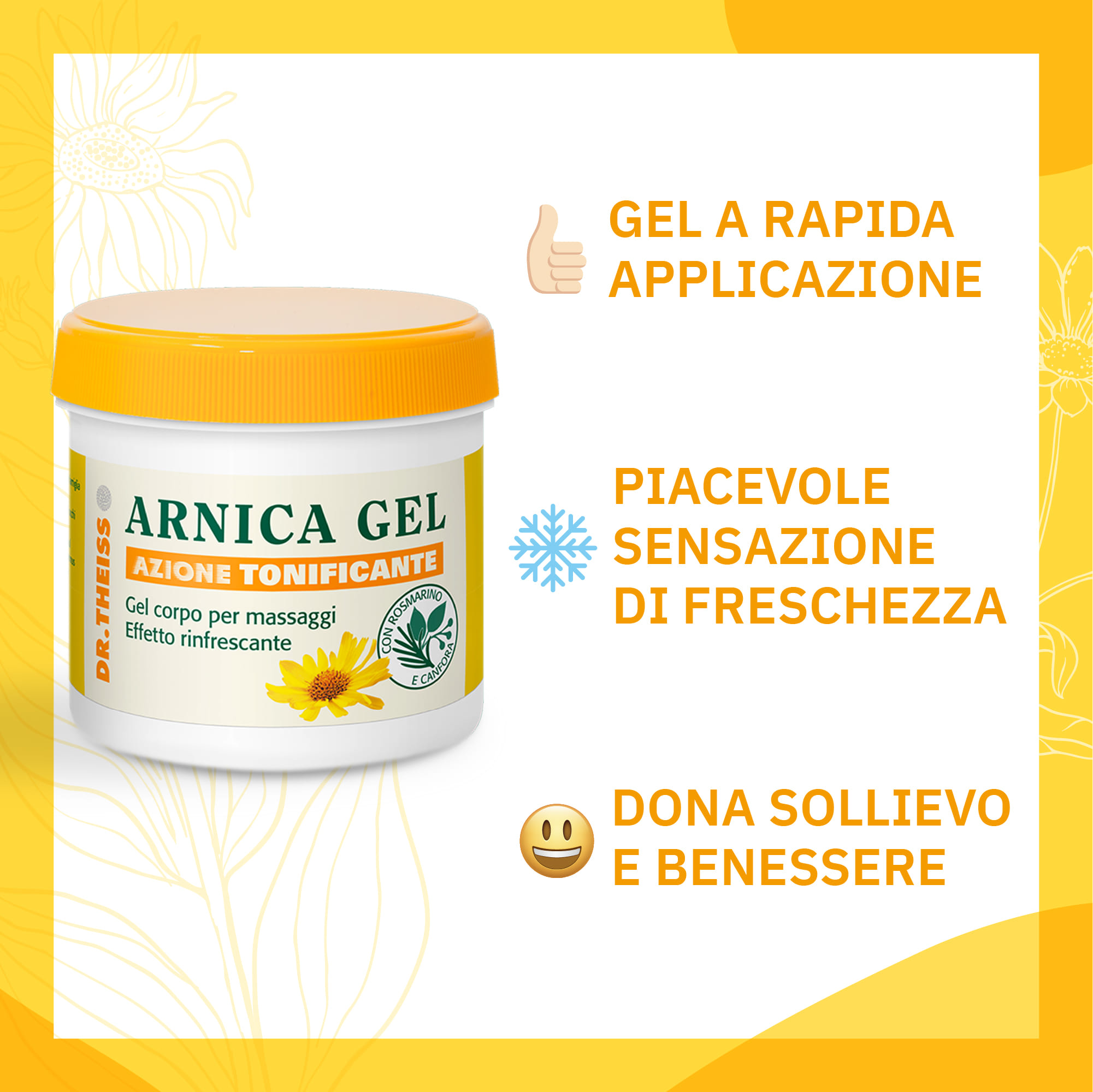 THEISS ARNICA GEL RAPIDO 200 ML