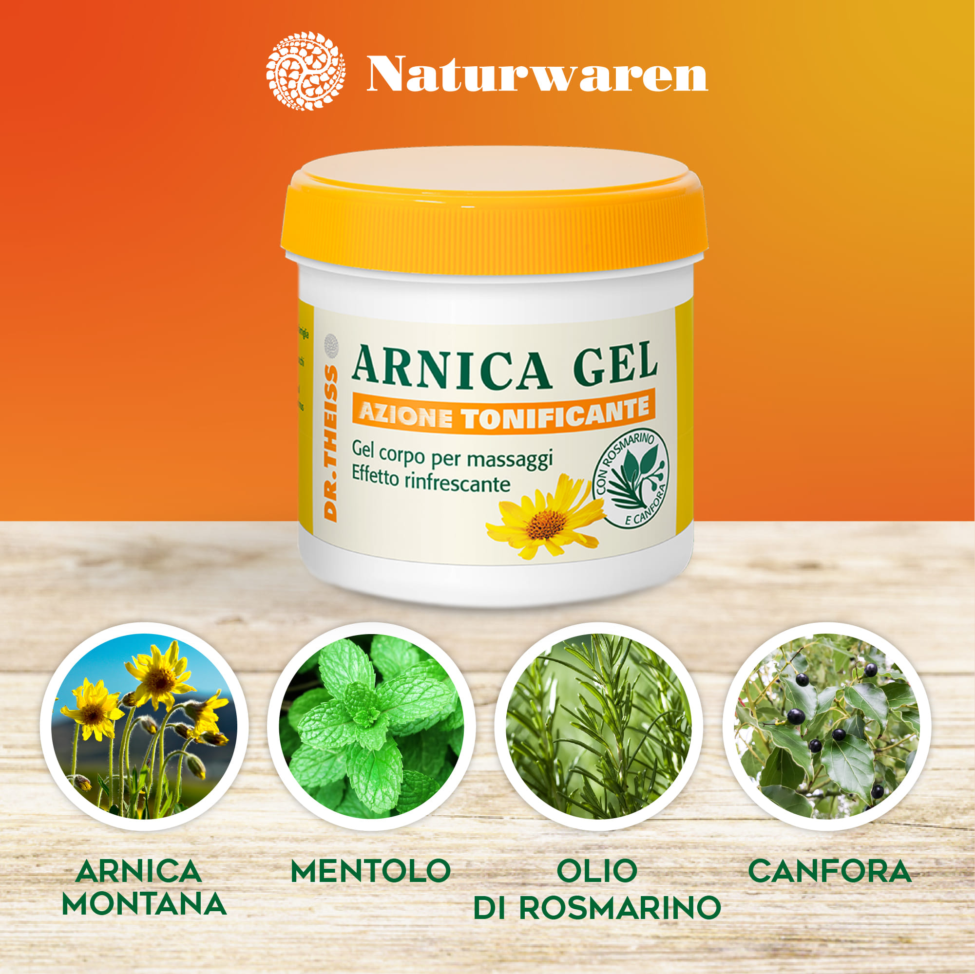 THEISS ARNICA GEL RAPIDO 200 ML