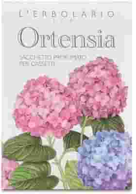 ORTENSIA SACCHETTO PROFUMATO PER CASSETTI