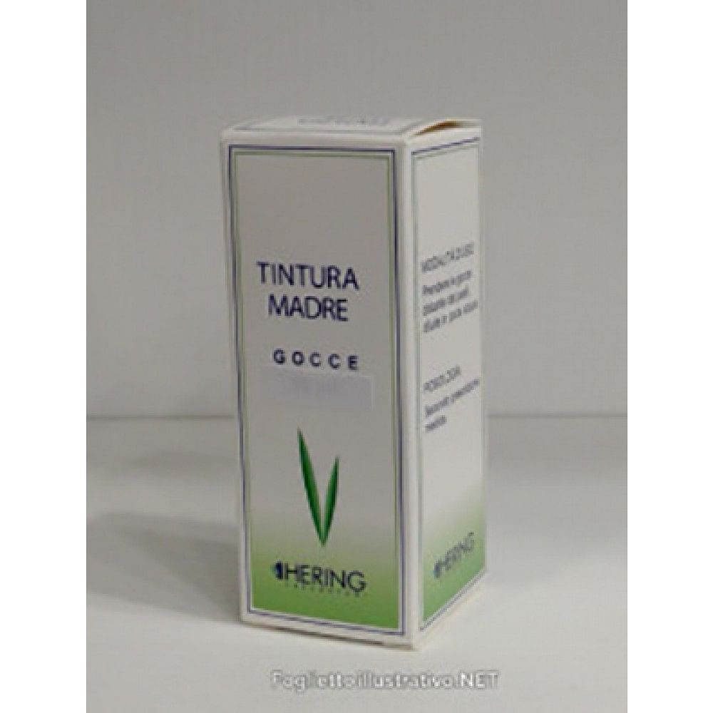 Orthosiphon Tintura Madre Gocce 30 Ml