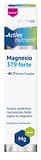 THEISS ACTIVE NUTRIENT MG FORTE 20 COMPRESSE