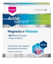 THEISS ACTIVE NUTRIENT MG/K 20 BUSTINE