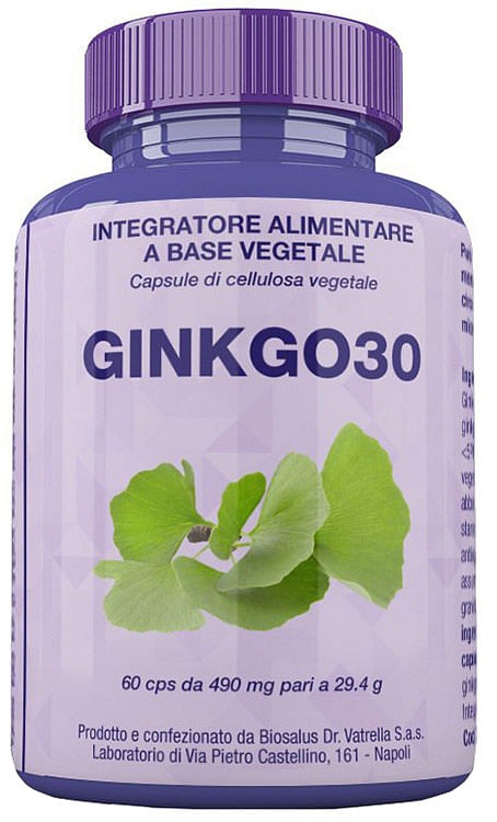 Ginkgo30 60 Capsule 27 G