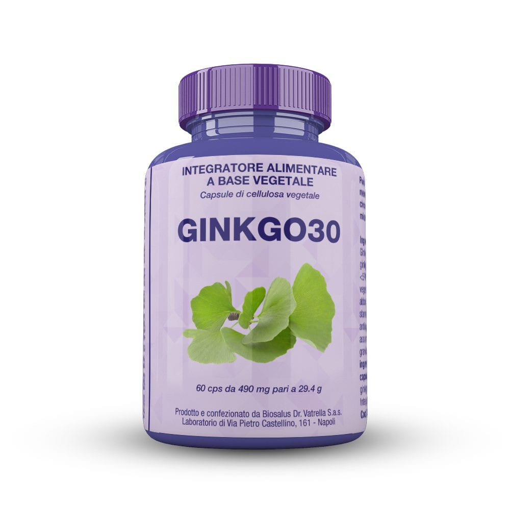 GINKGO30 60 CAPSULE 27 G
