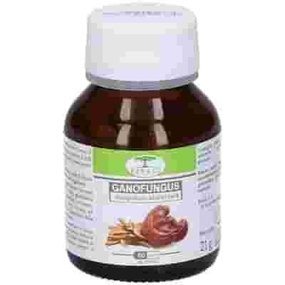 GANOFUNGUS 60 CAPSULE FLACONE 24 G