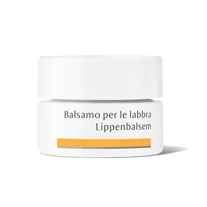 Dr Hauschka Balsamo Labbra 4,5 G