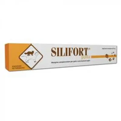 SILIFORT PASTA OS SIRINGA 15 G SILIFORT PASTA OS SIRINGA 15 G