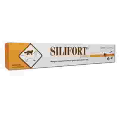 SILIFORT PASTA OS SIRINGA 15 G