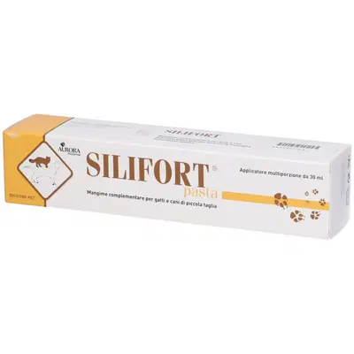 SILIFORT PASTA OS SIRINGA 30 G SILIFORT PASTA OS SIRINGA 30 G