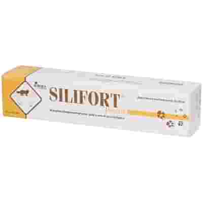 SILIFORT PASTA OS SIRINGA 30 G