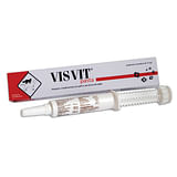 VISVIT PASTA OS SIRINGA 15 G