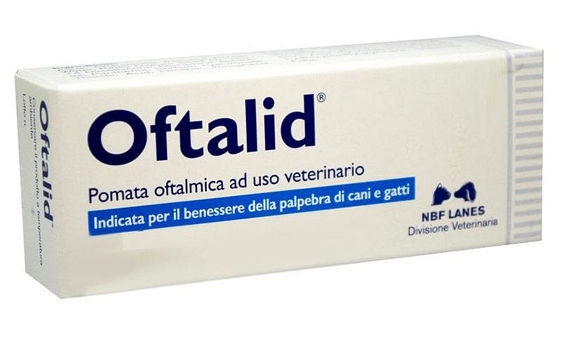 Oftalid Pomata Oftalmica 20 Ml