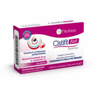 CISTIFIT FAST 10 BUSTINE 40 G