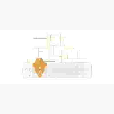 STRISCE MISURAZIONE GLICEMIA LINEA D ORO 50 PEZZI