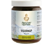VIGORMAP PASTA 600 G