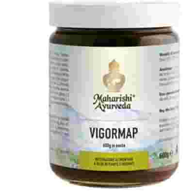 VIGORMAP PASTA 600 G