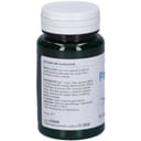 POLICISTIL 60 CAPSULE