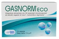 GASNORM ECO 12 CAPSULE