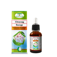 CITOYANG ENERGY GOCCE 50 ML