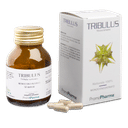 TRIBULUS 50 CAPSULE