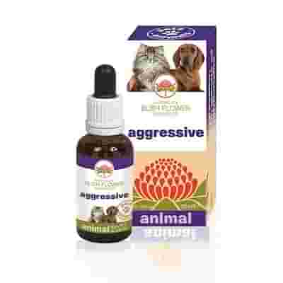 AGGRESSIVE 30 ML