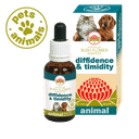 DIFFIDENCE & TIMIDITY 30 ML