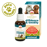 DIFFIDENCE & TIMIDITY 30 ML