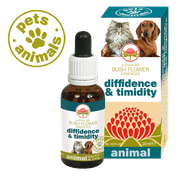 DIFFIDENCE & TIMIDITY 30 ML