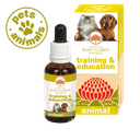 TRAINING & EDUCATION 30 ML