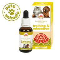 TRAINING & EDUCATION 30 ML