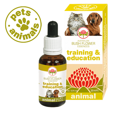 TRAINING & EDUCATION 30 ML