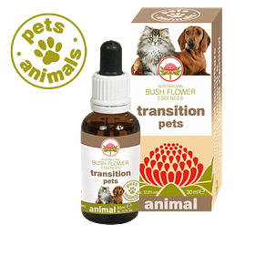 Transition Pets 30 Ml