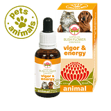 VIGOR & ENERGY 30 ML