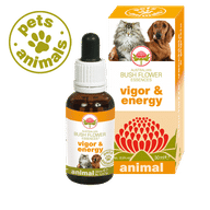 VIGOR & ENERGY 30 ML