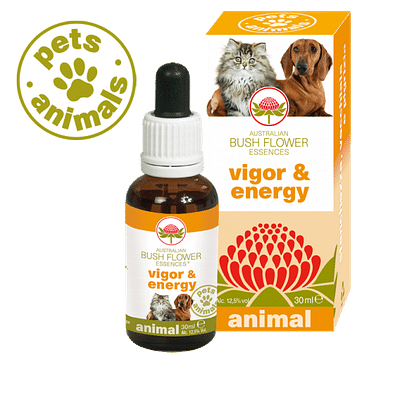 VIGOR & ENERGY 30 ML